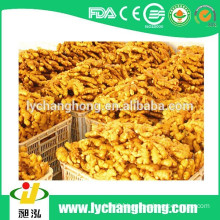 2014 new crop Linyi origin air dried ginger